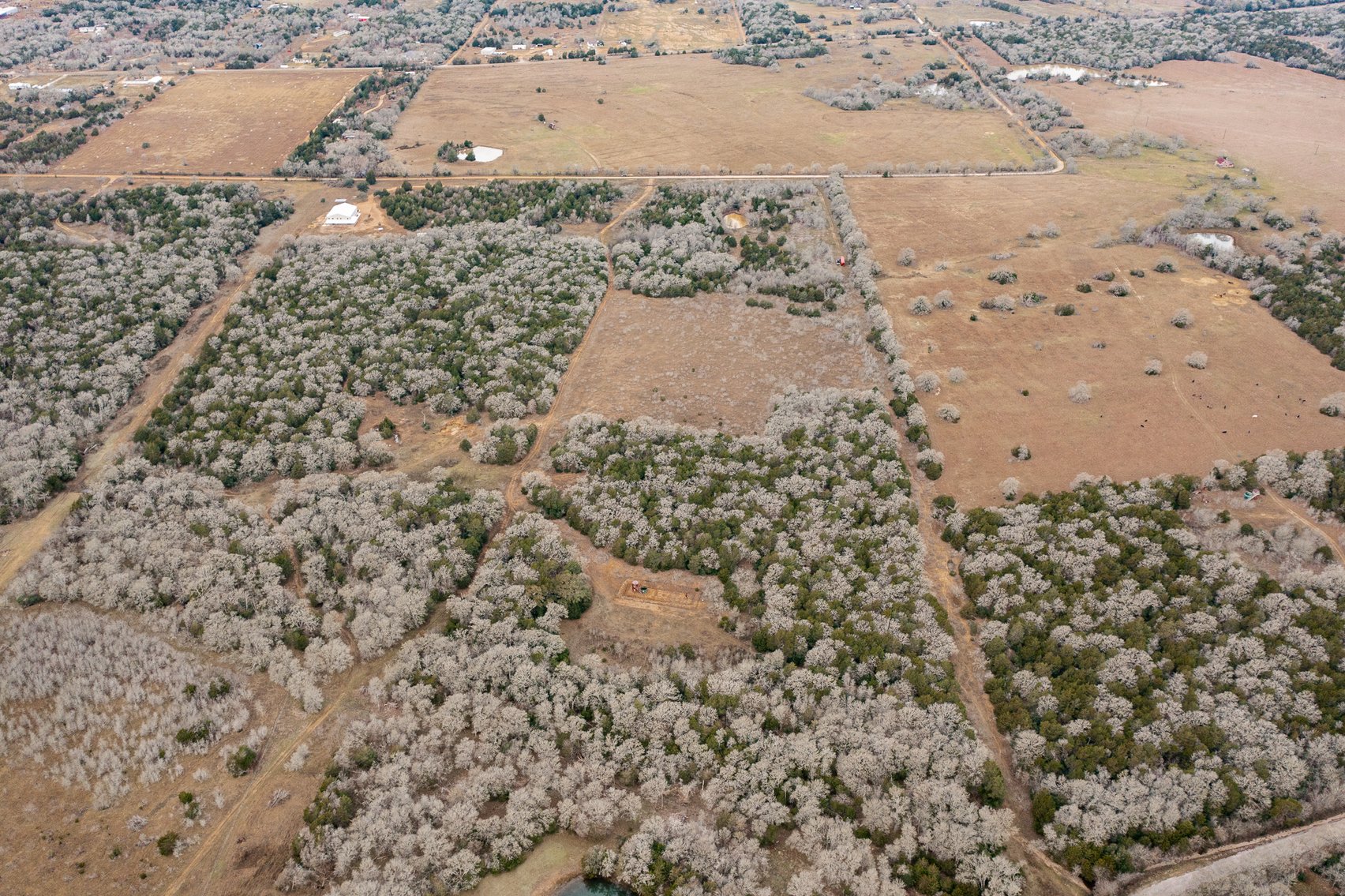 Image for 17 Acres - Grassyville Rd, Paige, TX