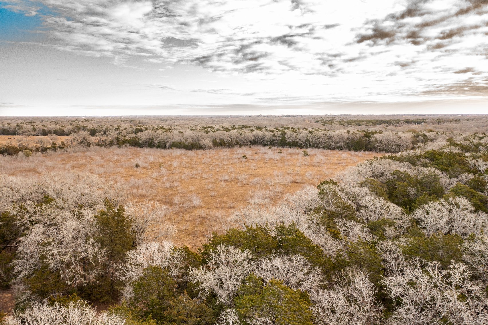 Image for 17 Acres - Grassyville Rd, Paige, TX