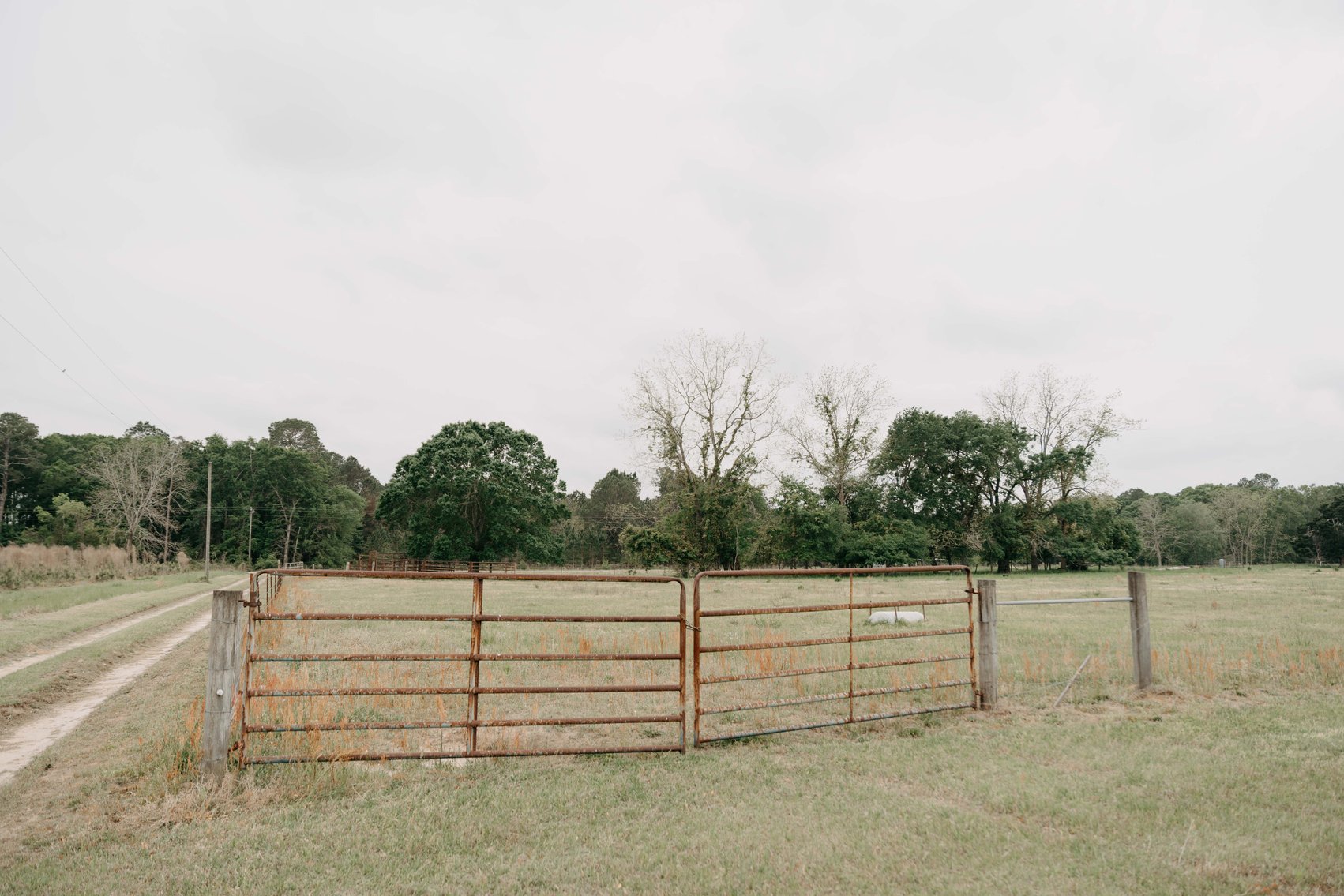 Image for The Jameson Estate - 11.5+/- Acres and Home in Thomas County