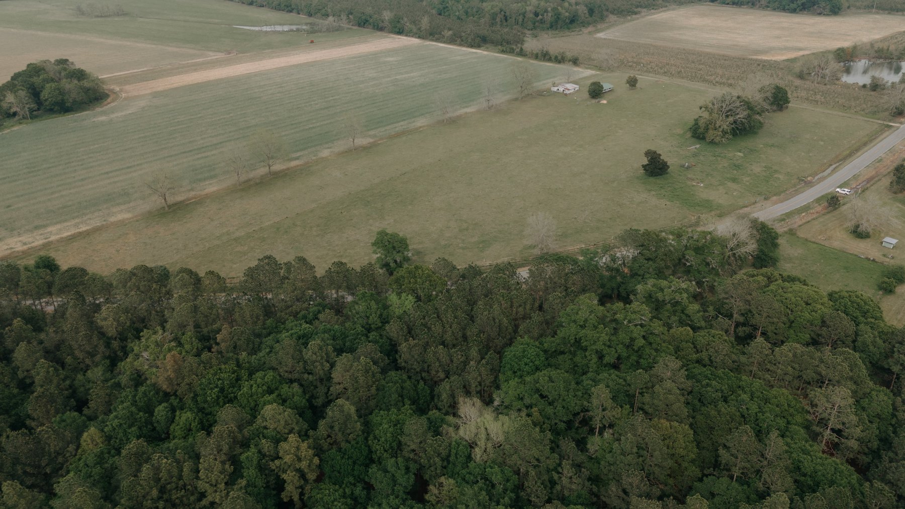 Image for The Jameson Estate - 11.5+/- Acres and Home in Thomas County
