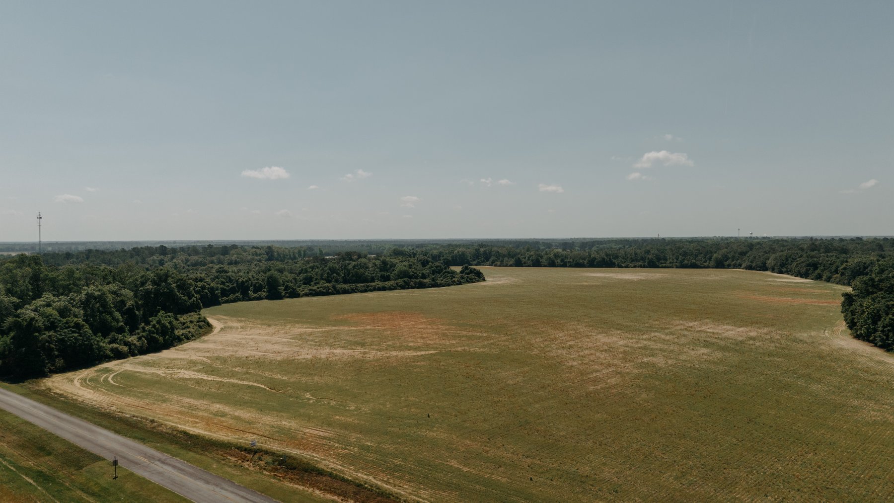 Image for 143 +/- Acre Investment Opportunity in Northern Thomas County, Georgia