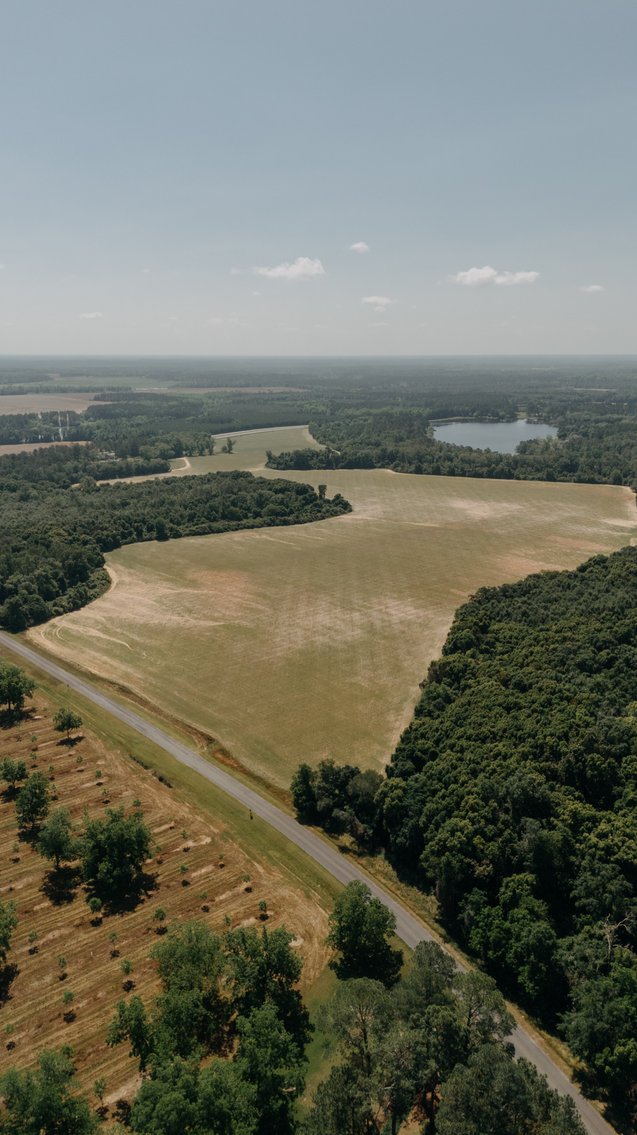 Image for 143 +/- Acre Investment Opportunity in Northern Thomas County, Georgia