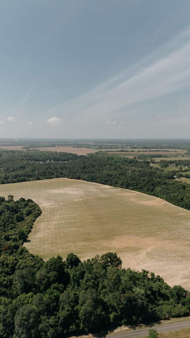 Image for 143 +/- Acre Investment Opportunity in Northern Thomas County, Georgia