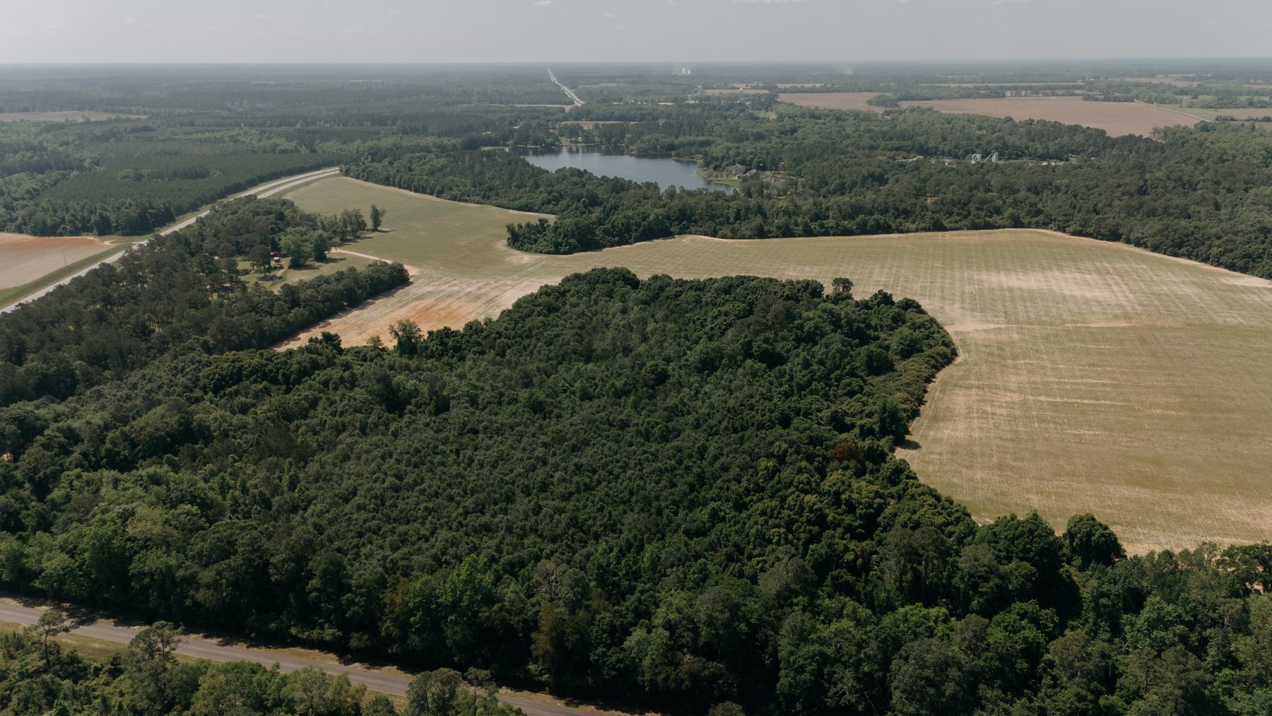 Image for 143 +/- Acre Investment Opportunity in Northern Thomas County, Georgia