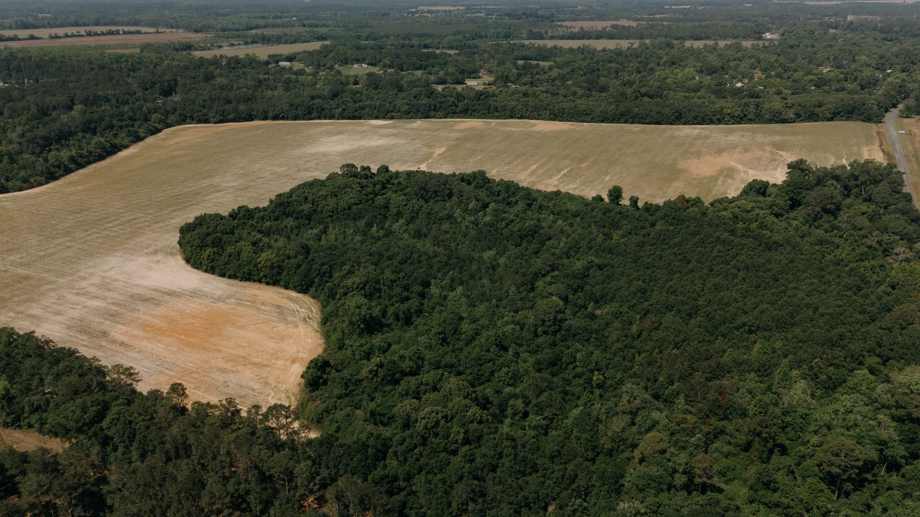 Image for 143 +/- Acre Investment Opportunity in Northern Thomas County, Georgia