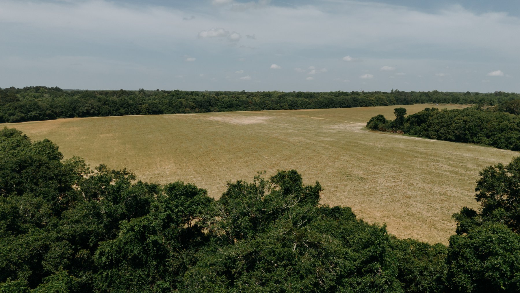 Image for 143 +/- Acre Investment Opportunity in Northern Thomas County, Georgia