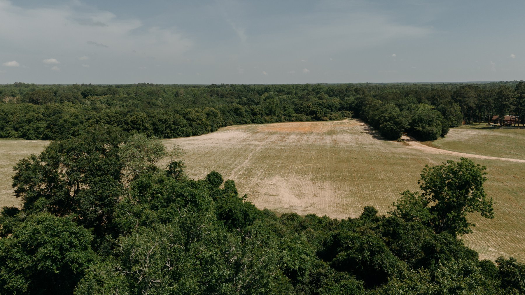 Image for 143 +/- Acre Investment Opportunity in Northern Thomas County, Georgia