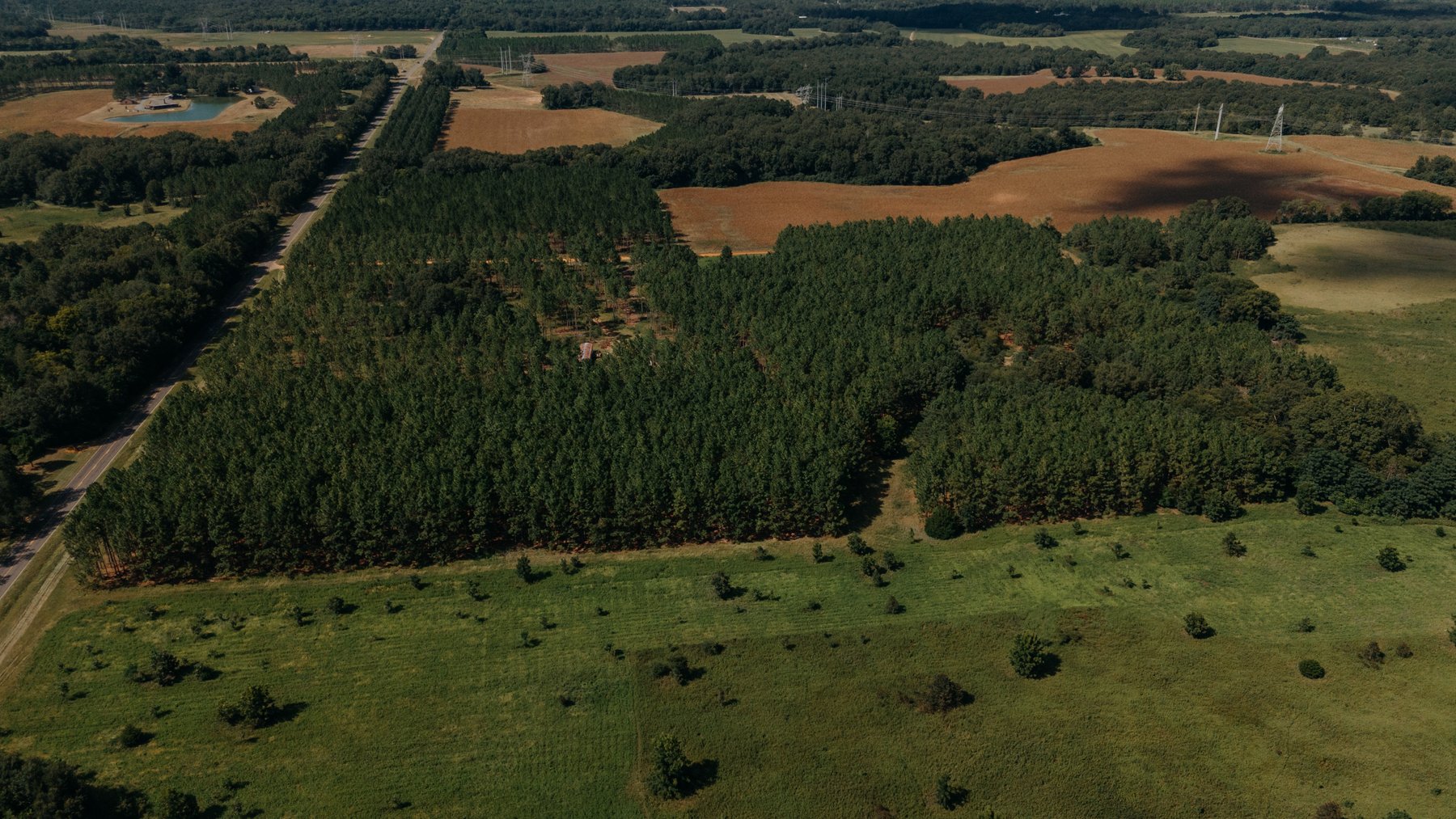 Image for 77.2 +/- Acre Sumter County Retreat: Restored Farmhouse, Hunting Land, and Timber Offered in Four Tracts