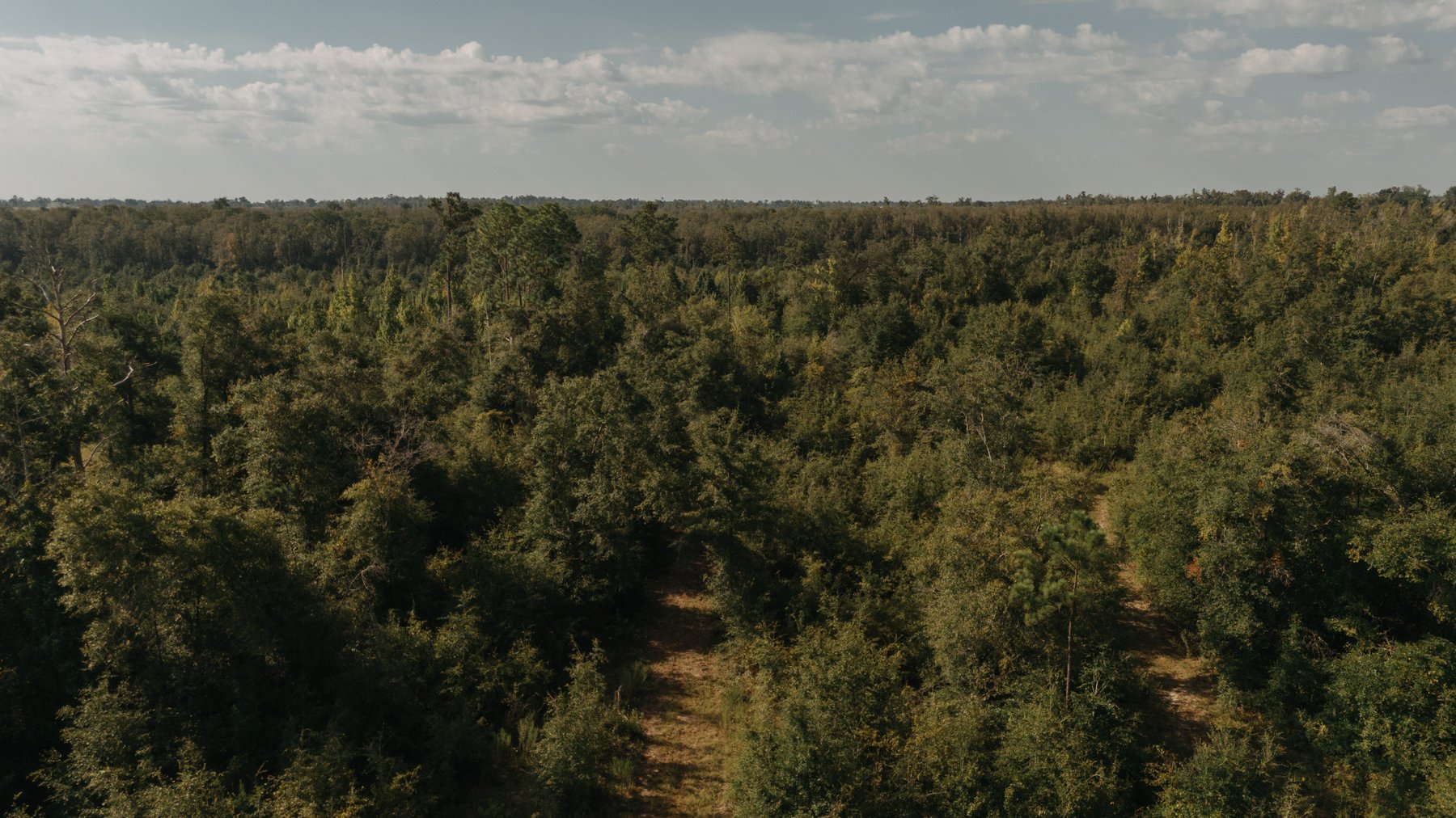 Image for 140.5 +/-  Acre Recreational Tract Jackson County, Florida