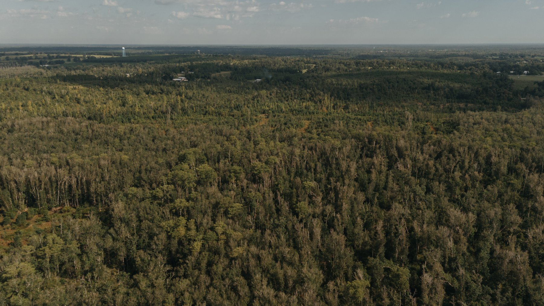 Image for 140.5 +/-  Acre Recreational Tract Jackson County, Florida