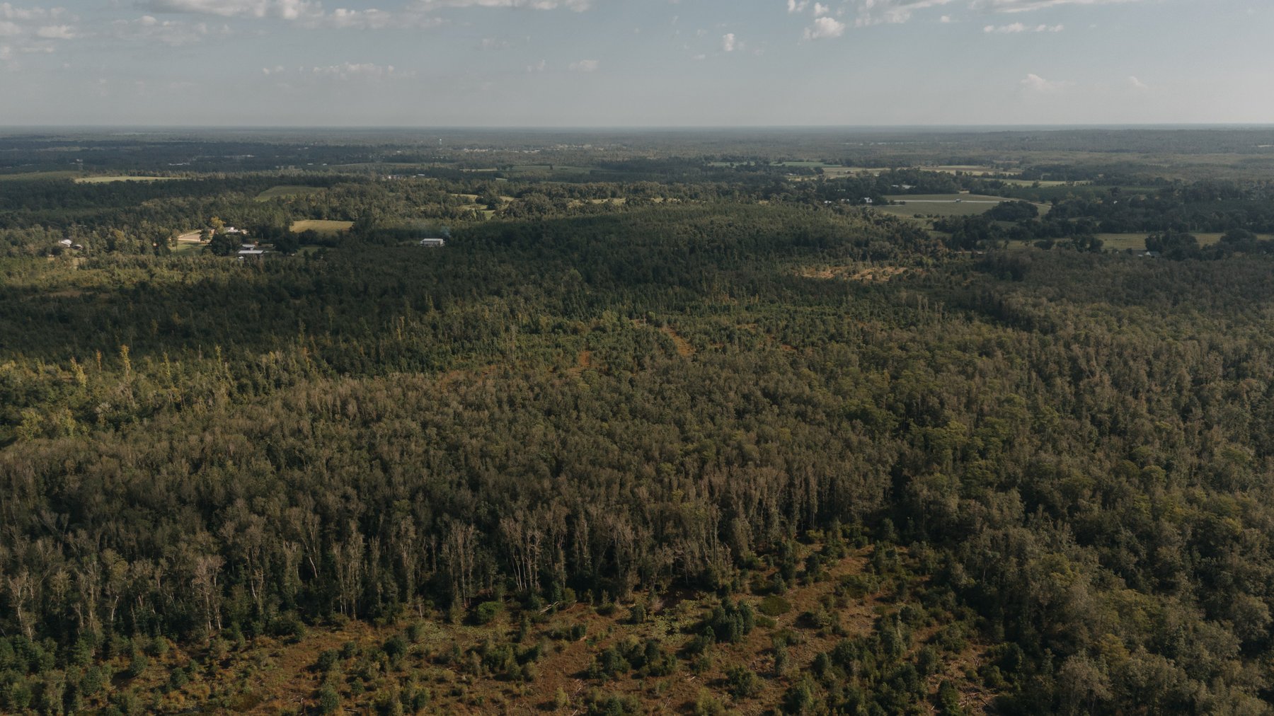 Image for 140.5 +/-  Acre Recreational Tract Jackson County, Florida