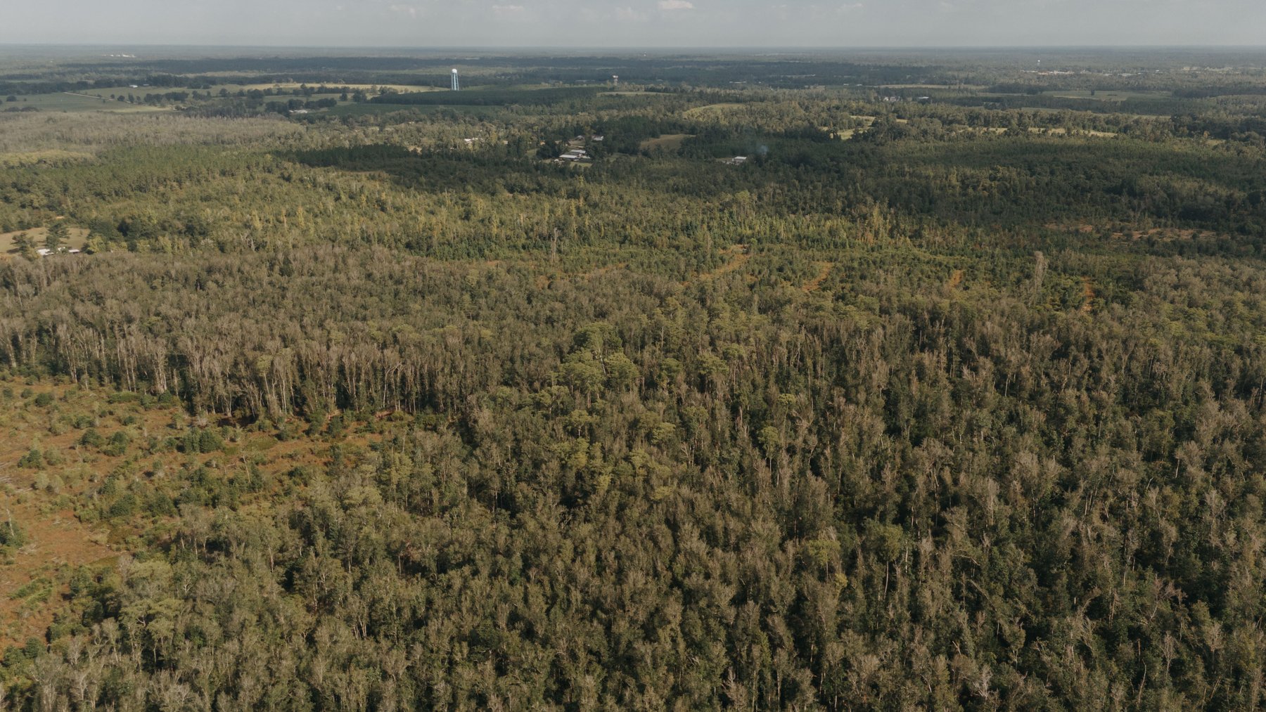 Image for 140.5 +/-  Acre Recreational Tract Jackson County, Florida