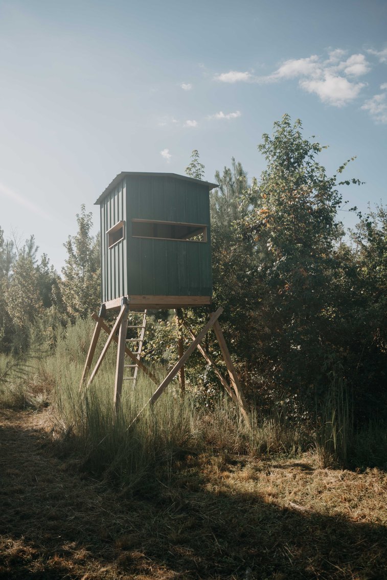 Image for 140.5 +/-  Acre Recreational Tract Jackson County, Florida