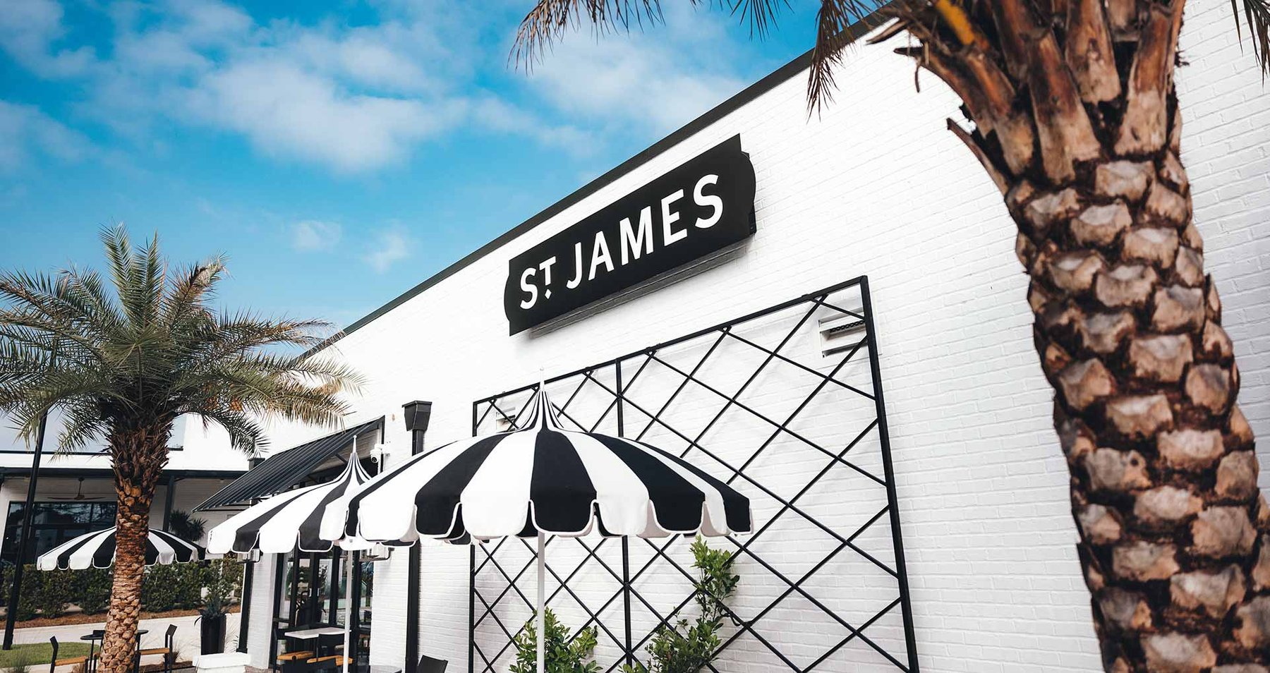 Image for Lives WIthout Limits 2024 Black Friday Fun Auction