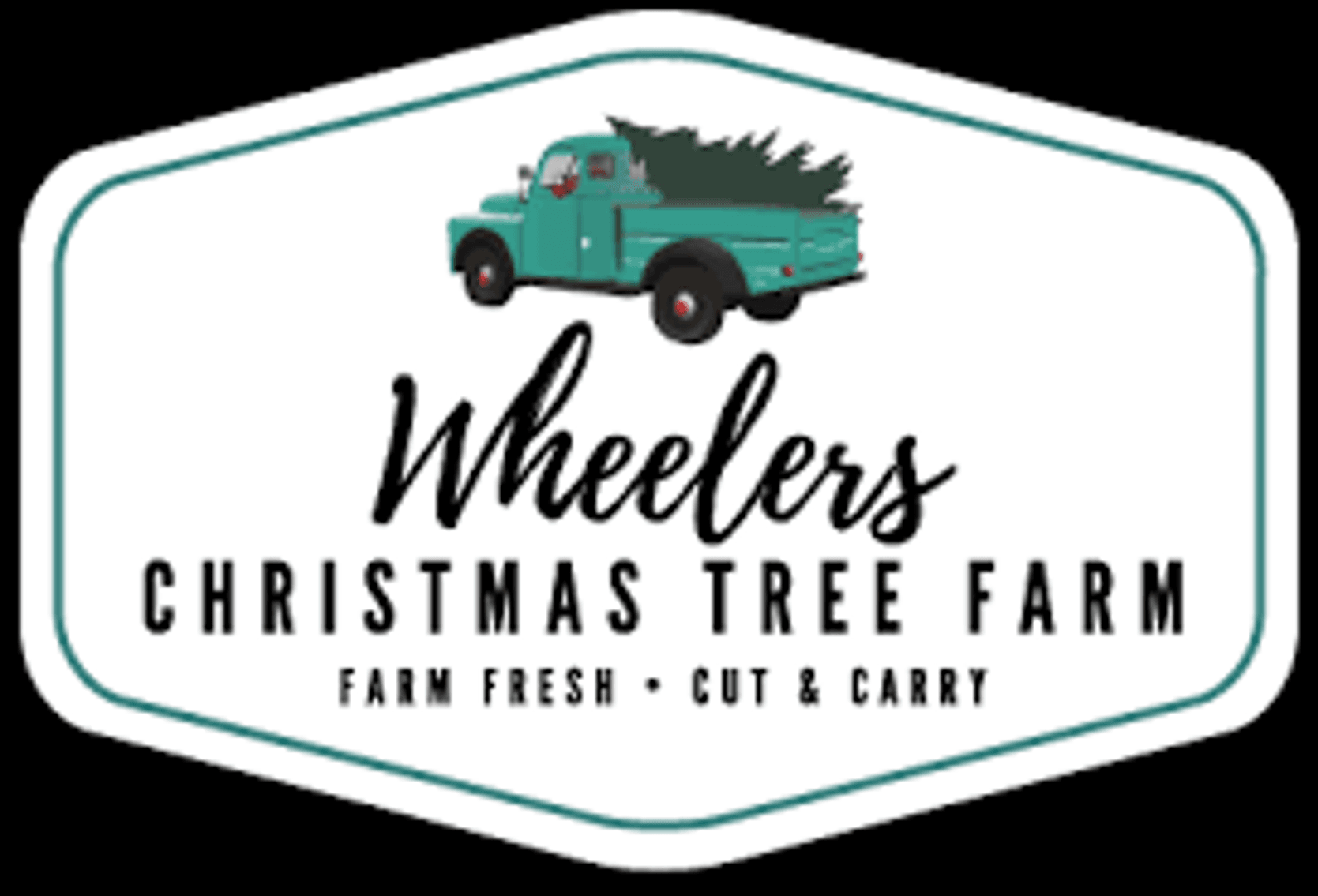 Image for Lives WIthout Limits 2024 Black Friday Fun Auction