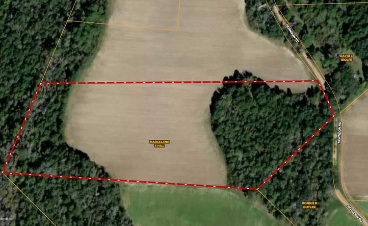 Image for *SOLD* Brooks County Hobby Farm *SOLD*