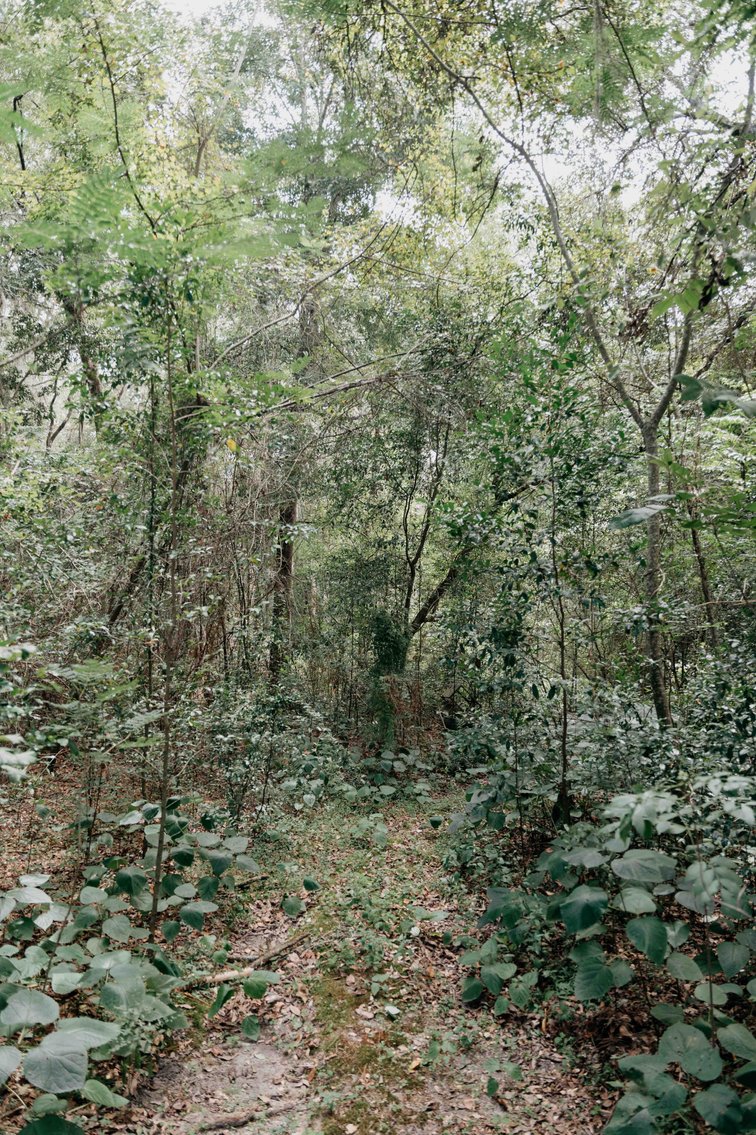 Image for 2,472 +/- Sq Ft Brick Home on 5 Acres in Thomas County, Georgia