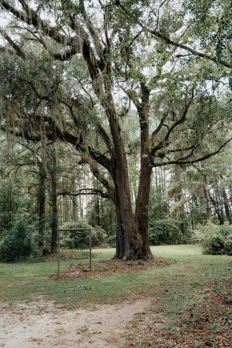 Image for 2,472 +/- Sq Ft Brick Home on 5 Acres in Thomas County, Georgia