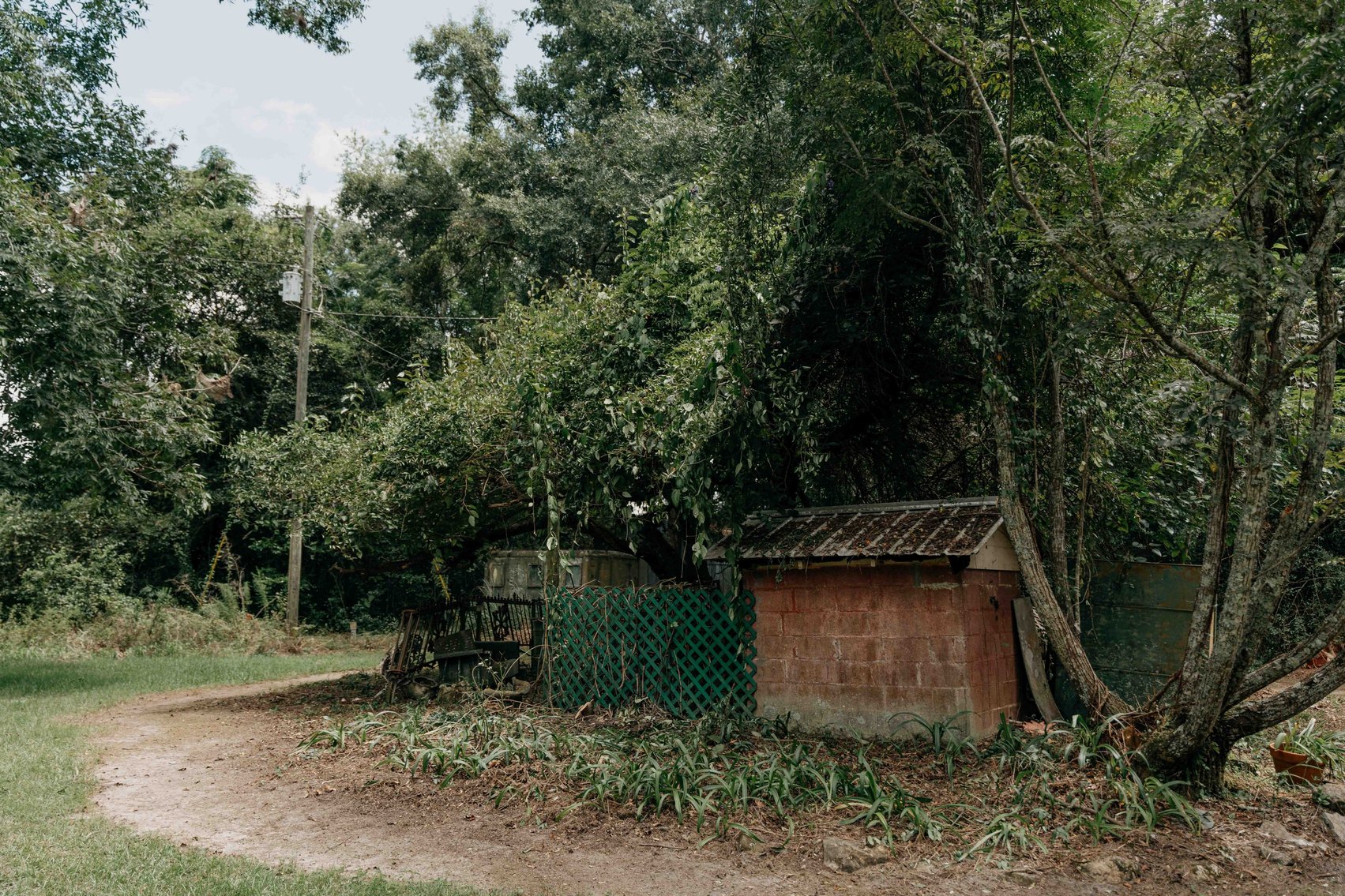 Image for 2,472 +/- Sq Ft Brick Home on 5 Acres in Thomas County, Georgia