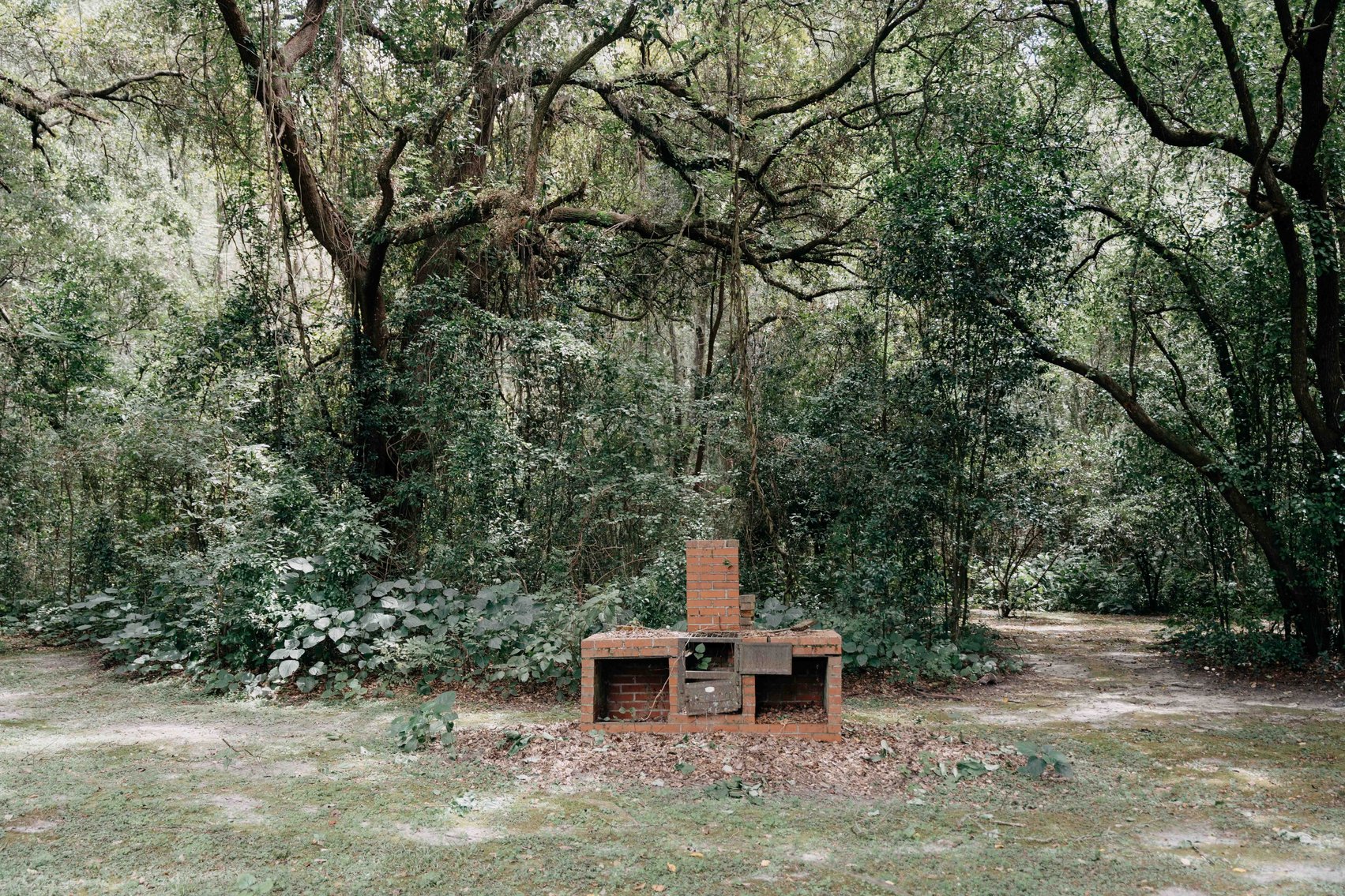 Image for 2,472 +/- Sq Ft Brick Home on 5 Acres in Thomas County, Georgia