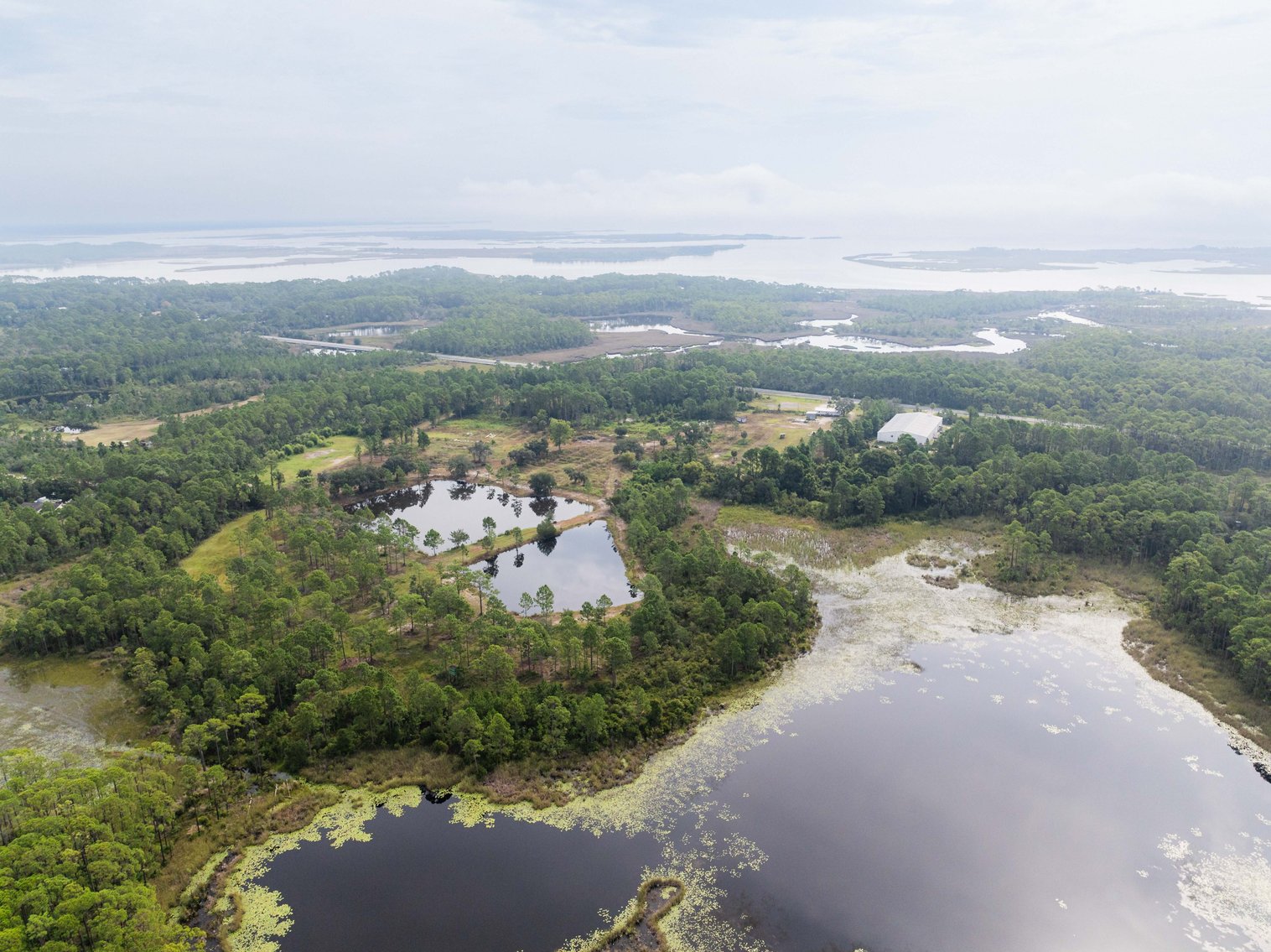 Image for 61± Acres on Coastal Hwy – Panacea, FL – Gateway to the Gulf Coast