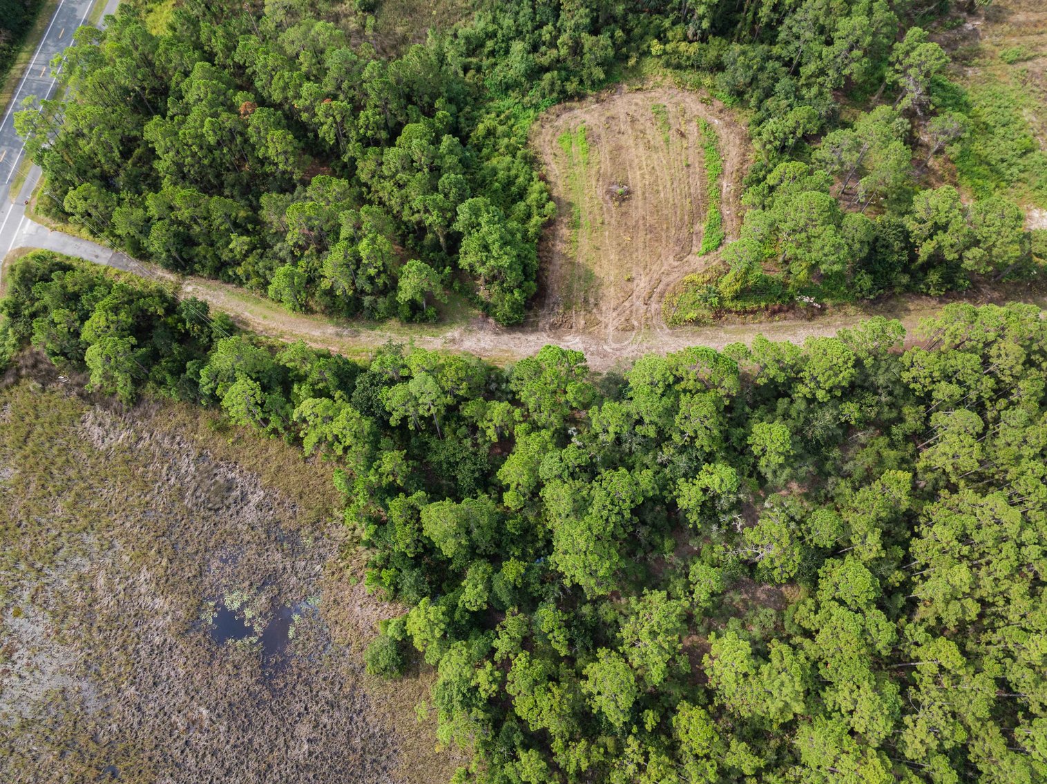 Image for 61± Acres on Coastal Hwy – Panacea, FL – Gateway to the Gulf Coast