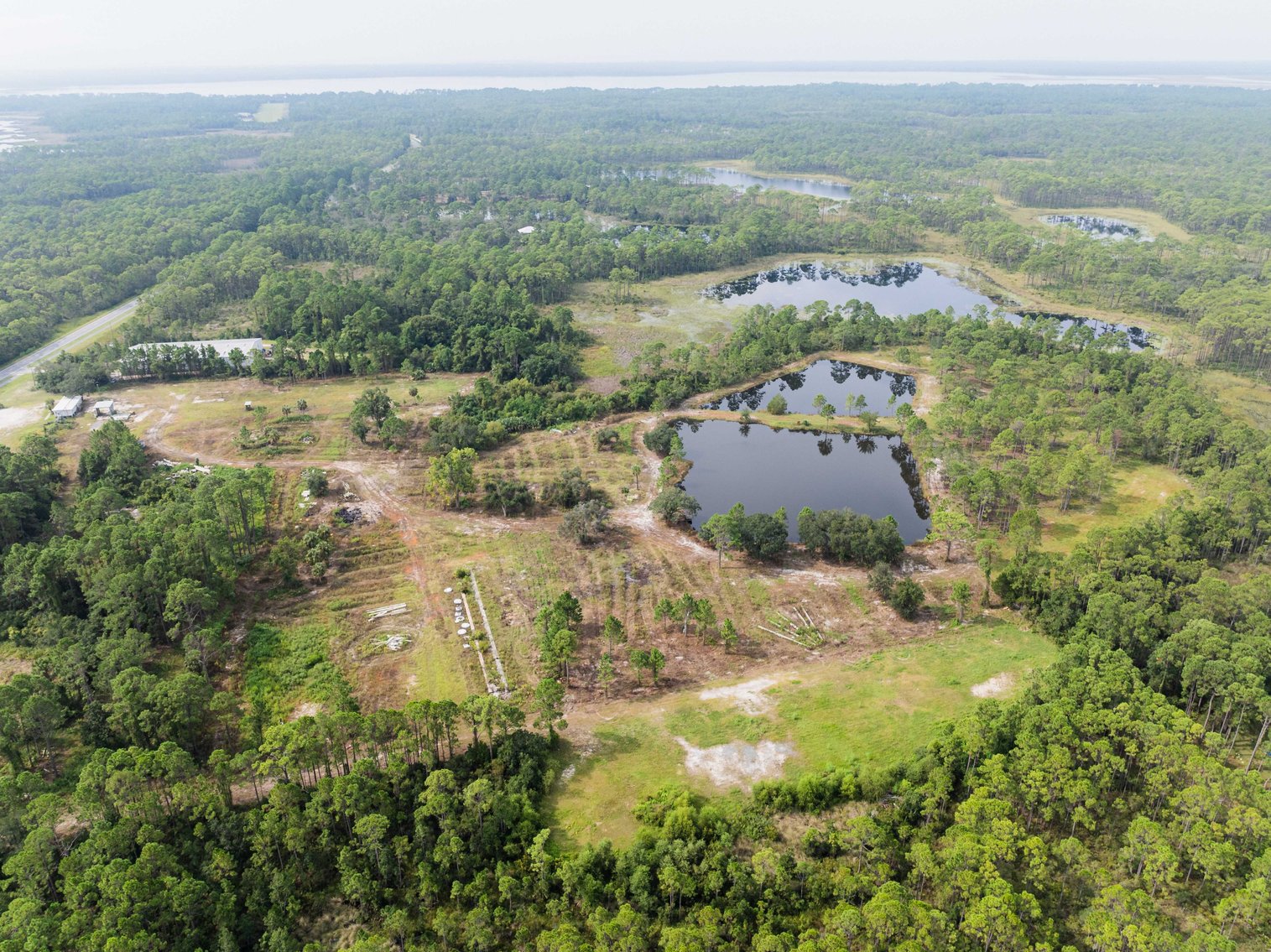 Image for 61± Acres on Coastal Hwy – Panacea, FL – Gateway to the Gulf Coast