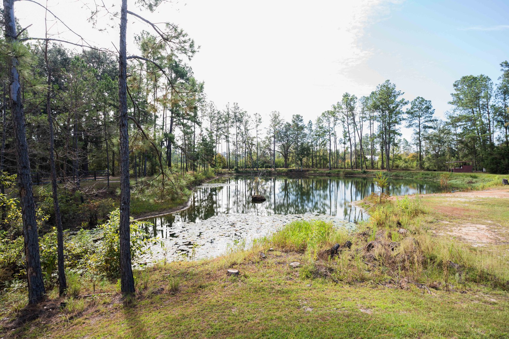 Image for 6.74+/- Acres and Home on Miller Bridge Road, Northern Lowndes County