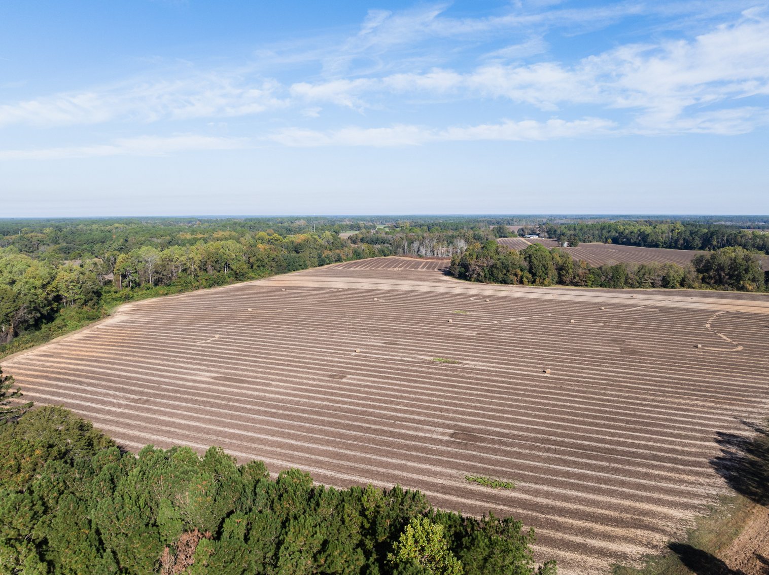 Image for The Redfearn Estate - Sealed Bid Auction