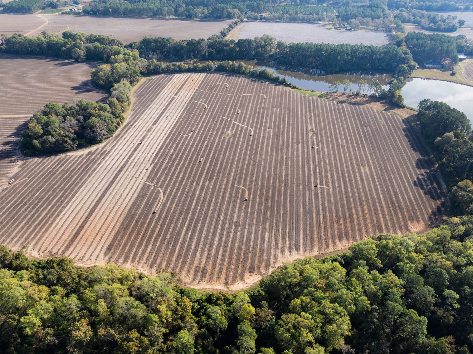 Image for The Redfearn Estate - Sealed Bid Auction