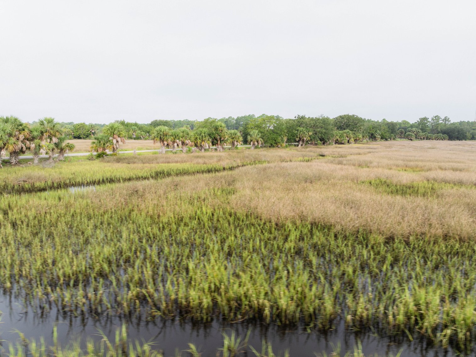 Image for Shell Point Development Tract – 12.76± Acres with Gulf Access