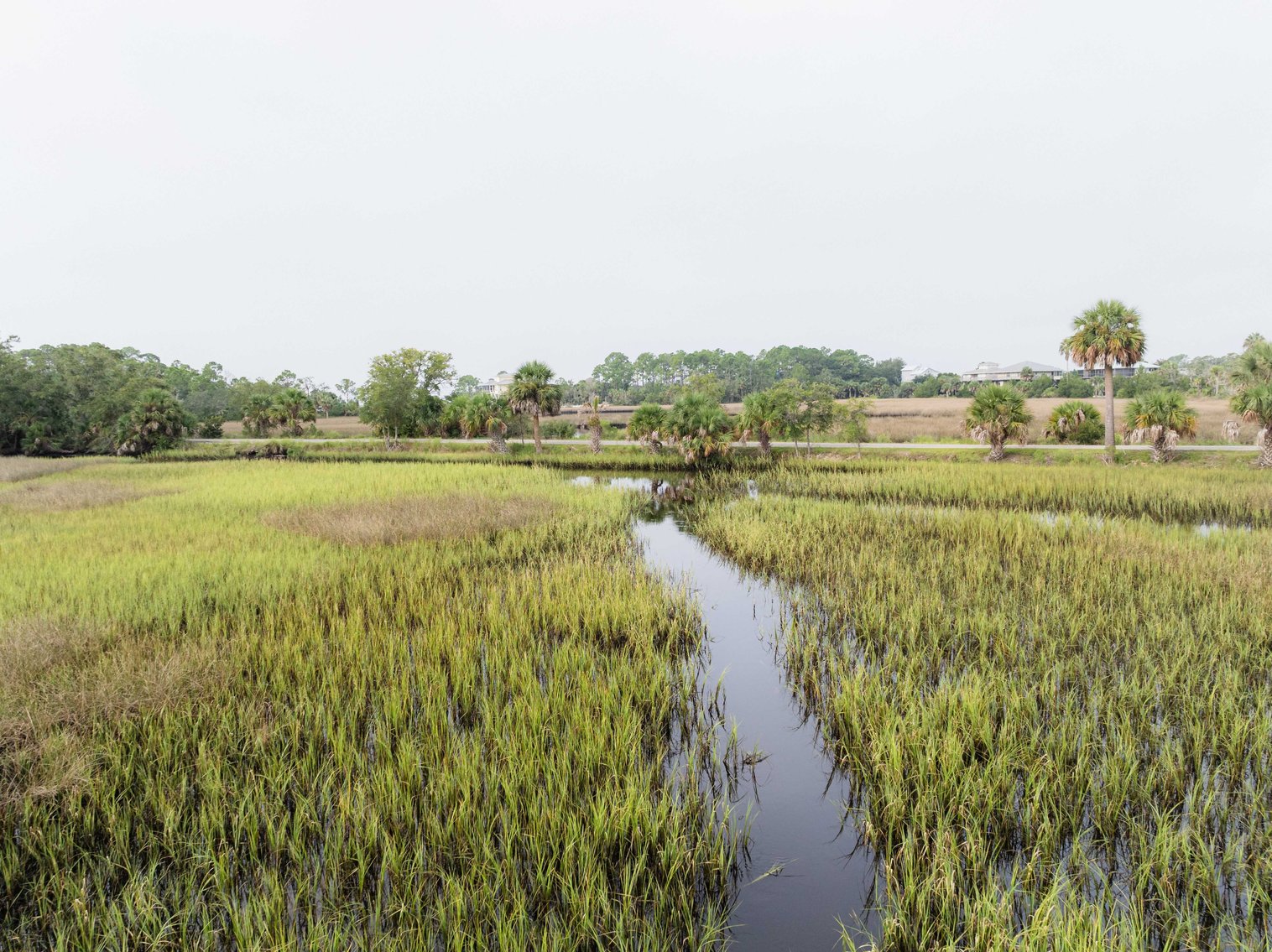 Image for Shell Point Development Tract – 12.76± Acres with Gulf Access