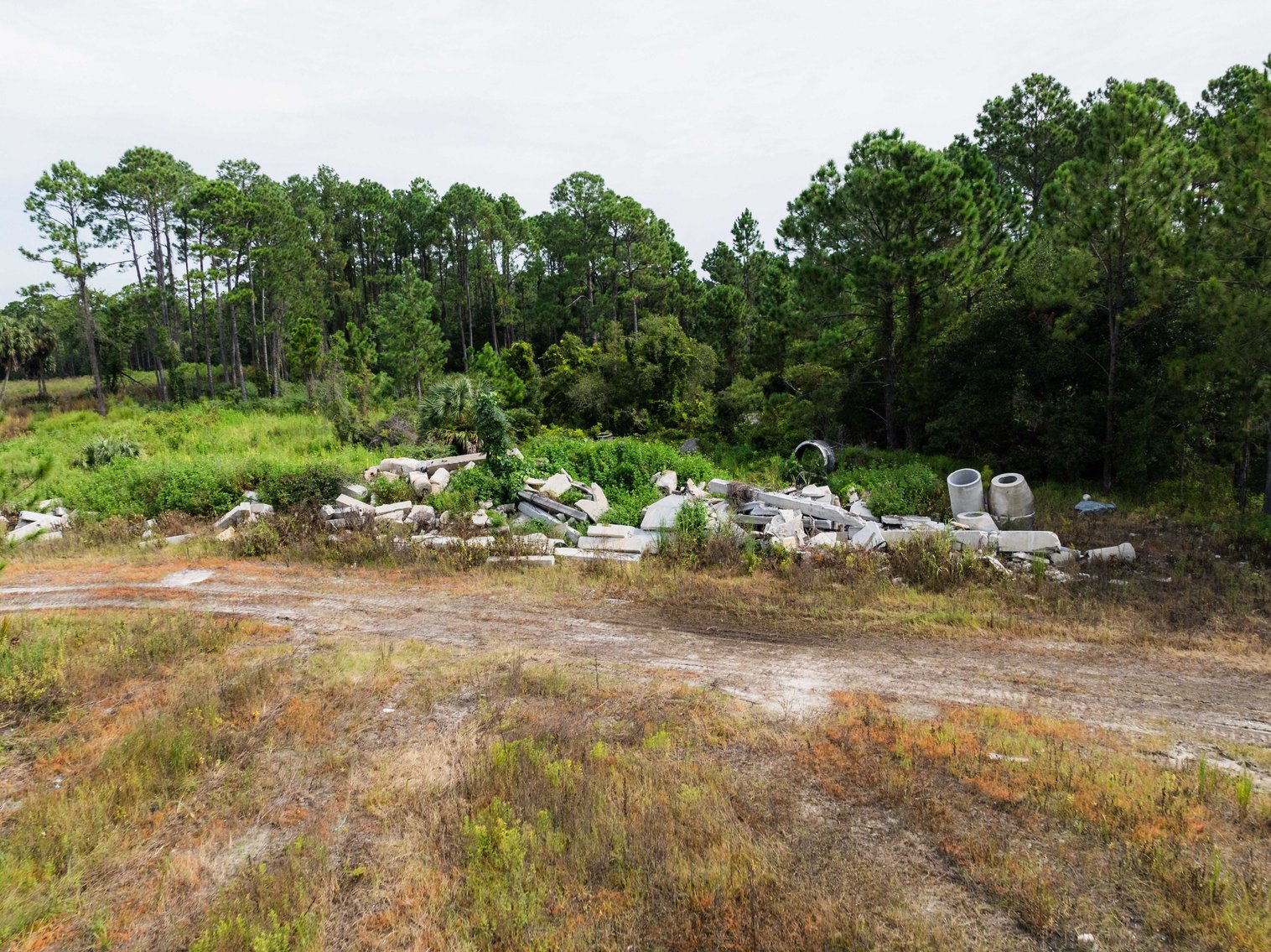 Image for 61± Acres on Coastal Hwy – Panacea, FL – Gateway to the Gulf Coast