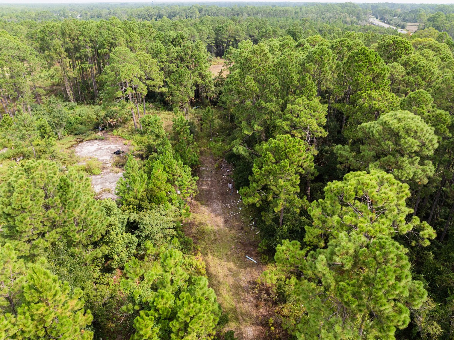 Image for 61± Acres on Coastal Hwy – Panacea, FL – Gateway to the Gulf Coast