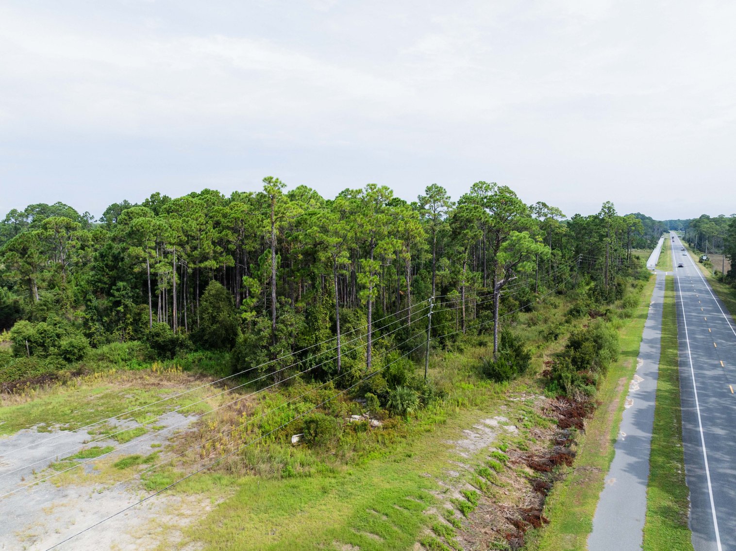 Image for 61± Acres on Coastal Hwy – Panacea, FL – Gateway to the Gulf Coast