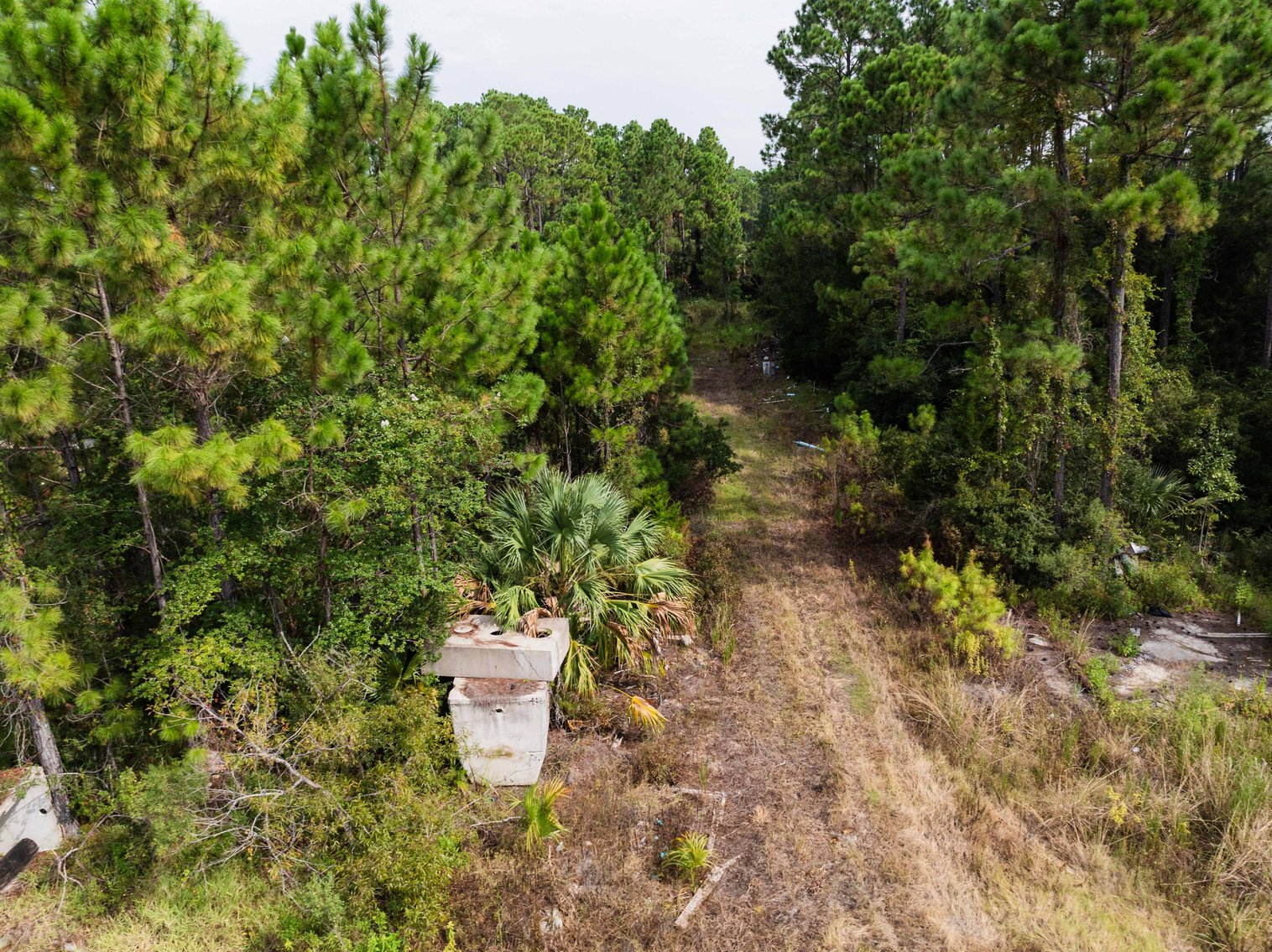 Image for 61± Acres on Coastal Hwy – Panacea, FL – Gateway to the Gulf Coast