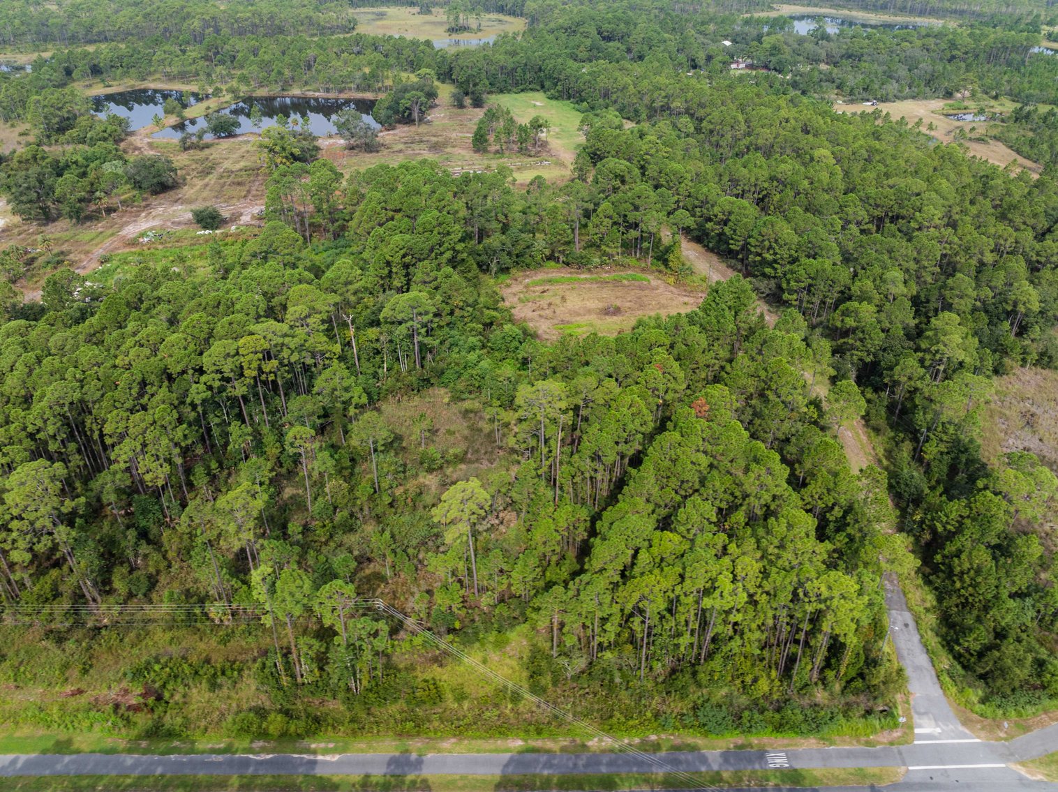 Image for 61± Acres on Coastal Hwy – Panacea, FL – Gateway to the Gulf Coast