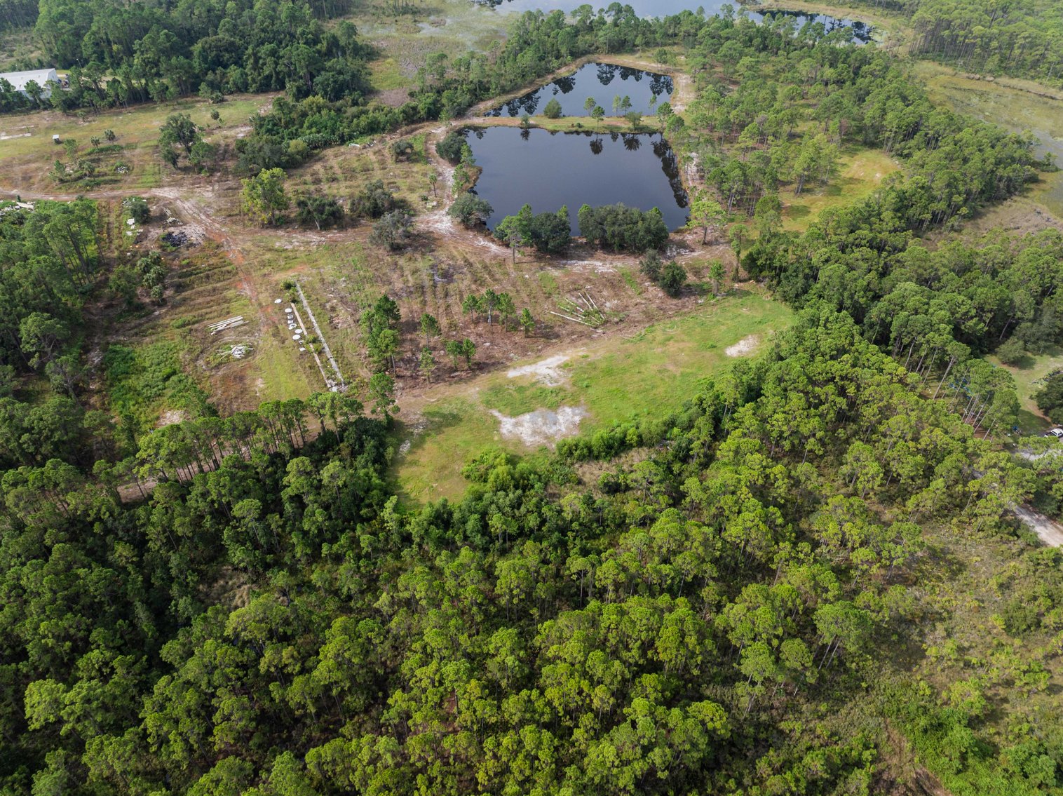 Image for 61± Acres on Coastal Hwy – Panacea, FL – Gateway to the Gulf Coast
