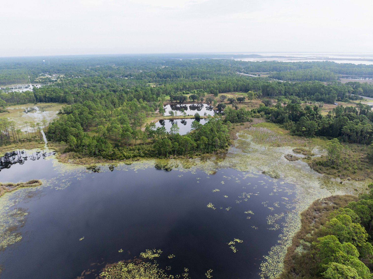 Image for 61± Acres on Coastal Hwy – Panacea, FL – Gateway to the Gulf Coast