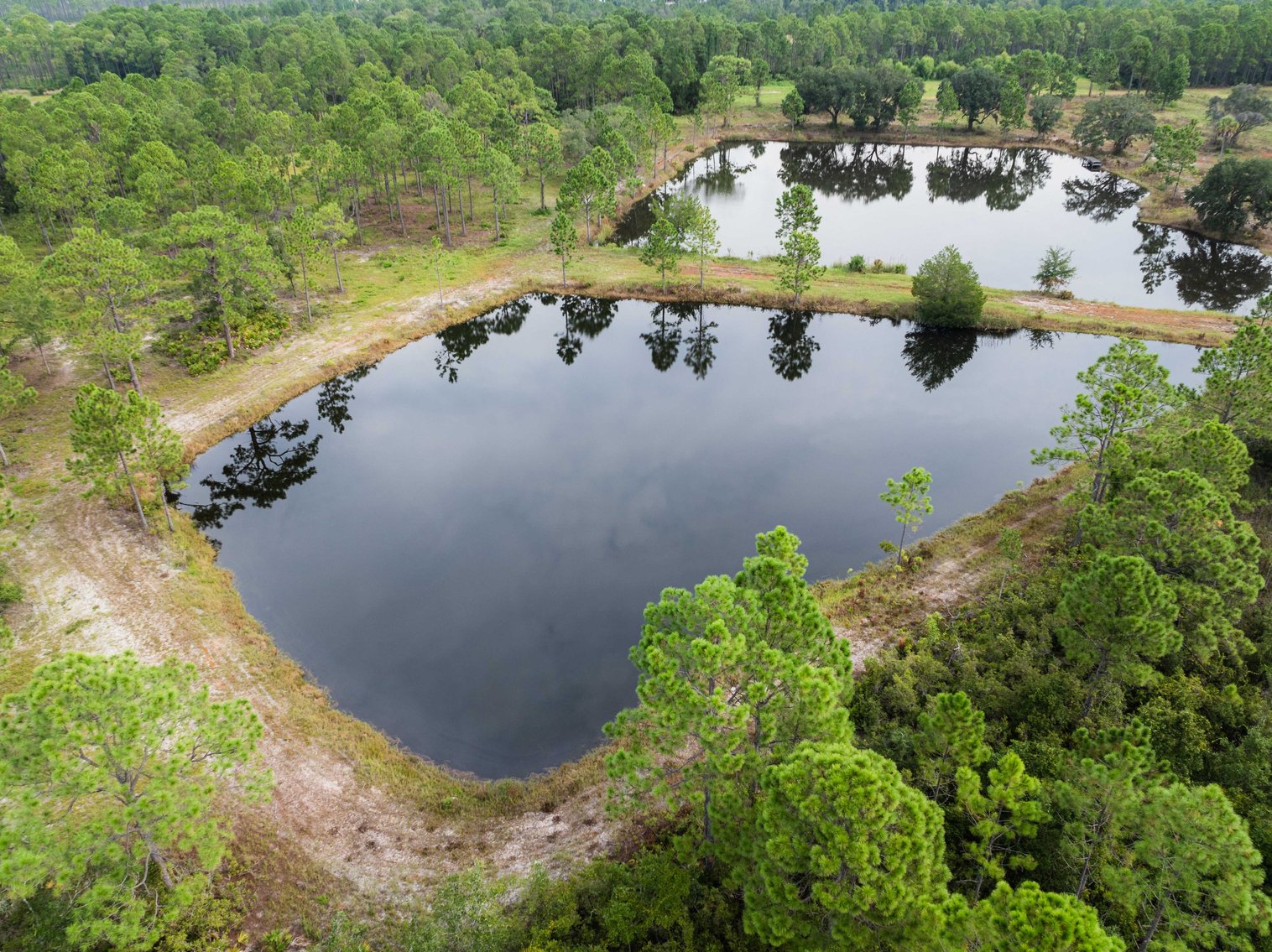 Image for 61± Acres on Coastal Hwy – Panacea, FL – Gateway to the Gulf Coast