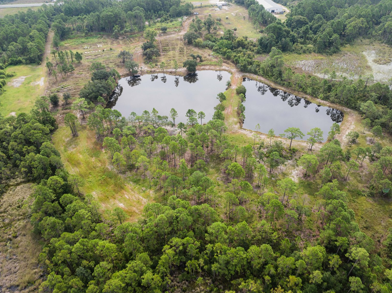 Image for 61± Acres on Coastal Hwy – Panacea, FL – Gateway to the Gulf Coast