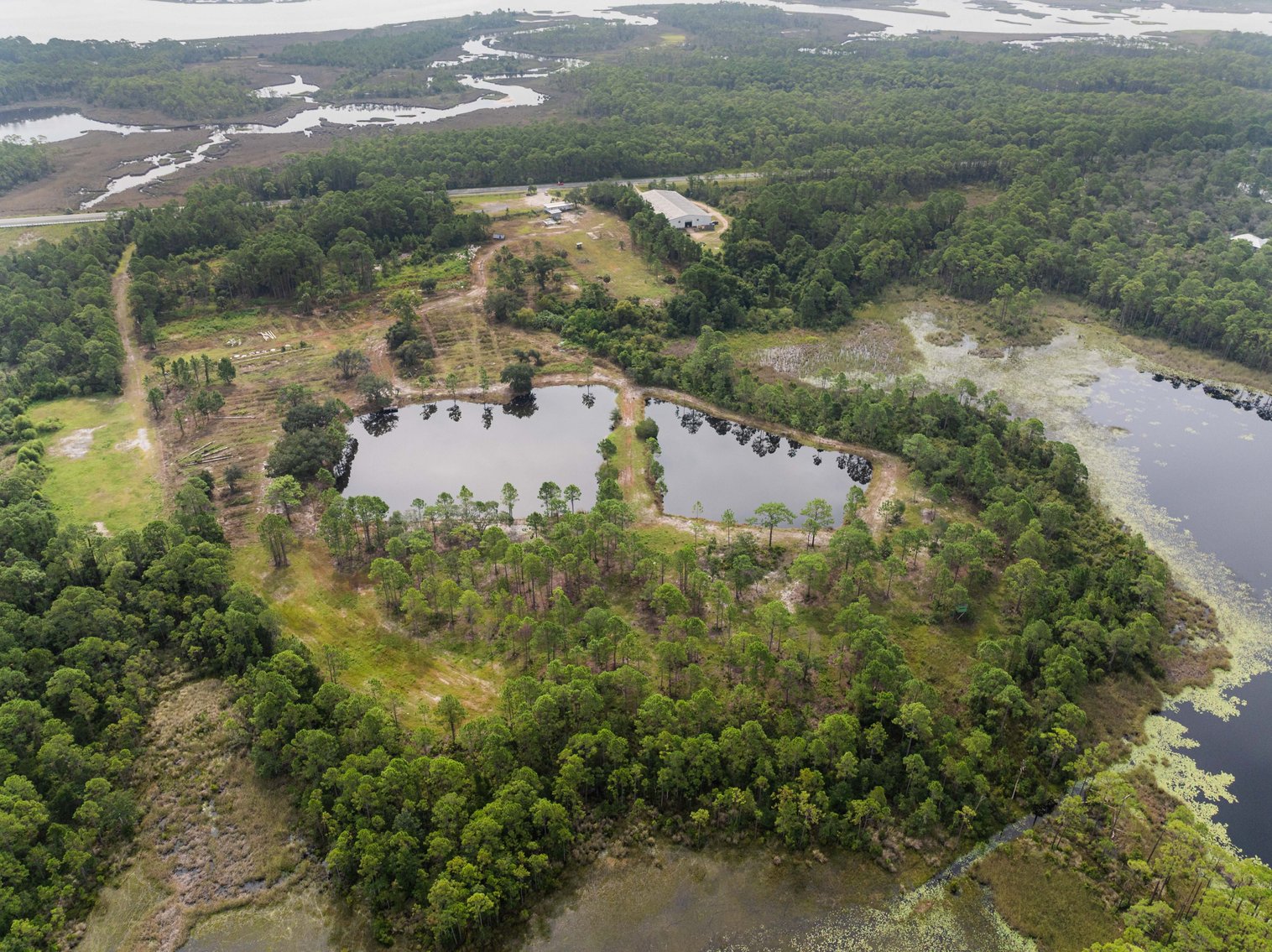 Image for 61± Acres on Coastal Hwy – Panacea, FL – Gateway to the Gulf Coast