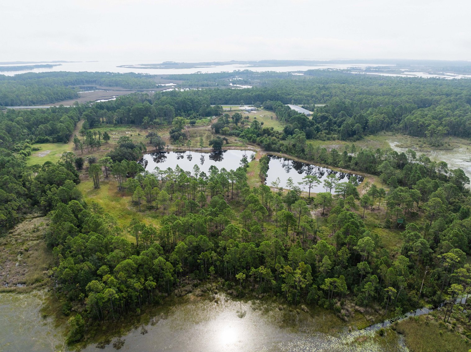 Image for 61± Acres on Coastal Hwy – Panacea, FL – Gateway to the Gulf Coast