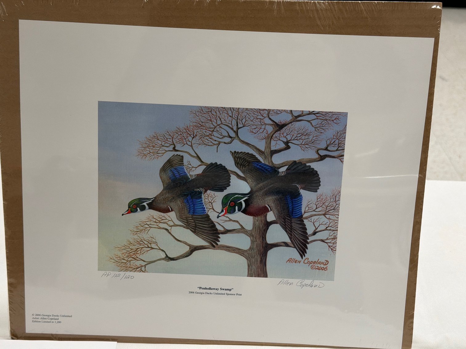 Image for 2026 Georgia Quail Invitational Auction