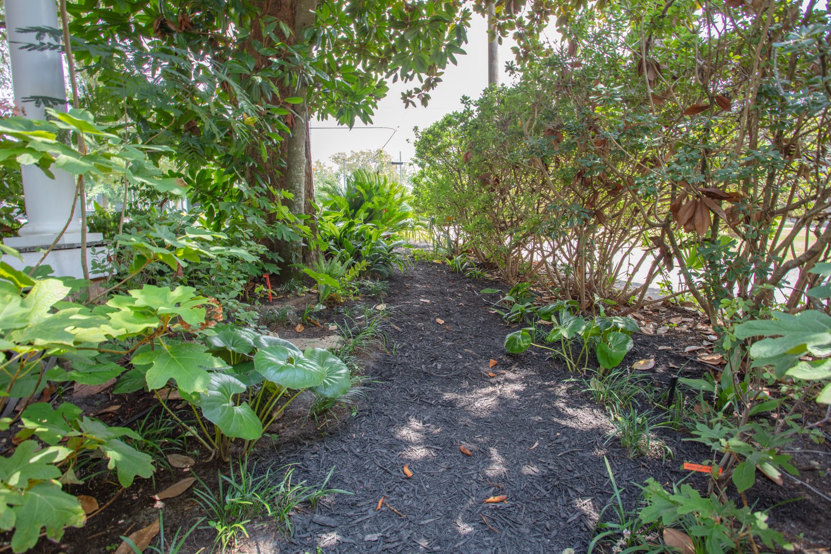 Image for The Hudson House on 401 East Jefferson Street, Thomasville, Georgia 31792