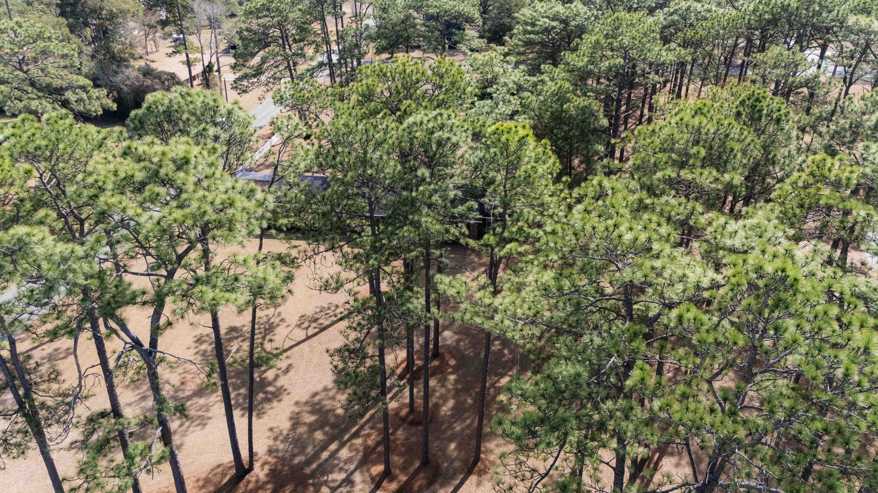 Image for Brick Home on 1.04± Acres in Cairo, Georgia 