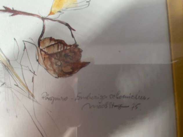 Image for (2) Bird Prints, 1975 Signed by Author