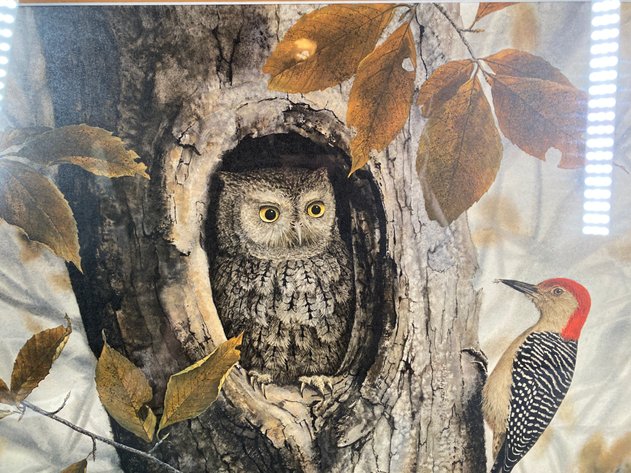 Image for Framed and Matted Limited Edition Print, 