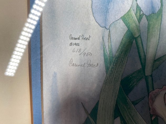 Image for (2) Framed and Signed Floral Prints