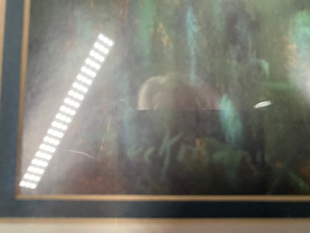 Image for Large Framed and Matted Floral Print, Signed by Artist